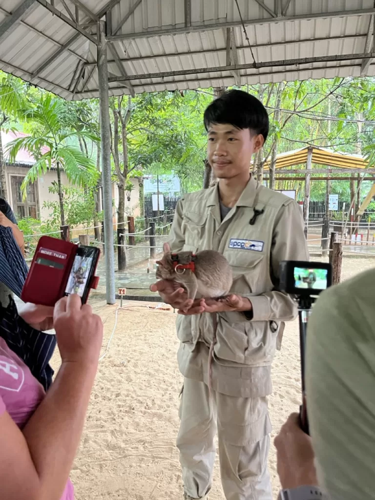 A herorat demonstration at Apopo Siem Reap