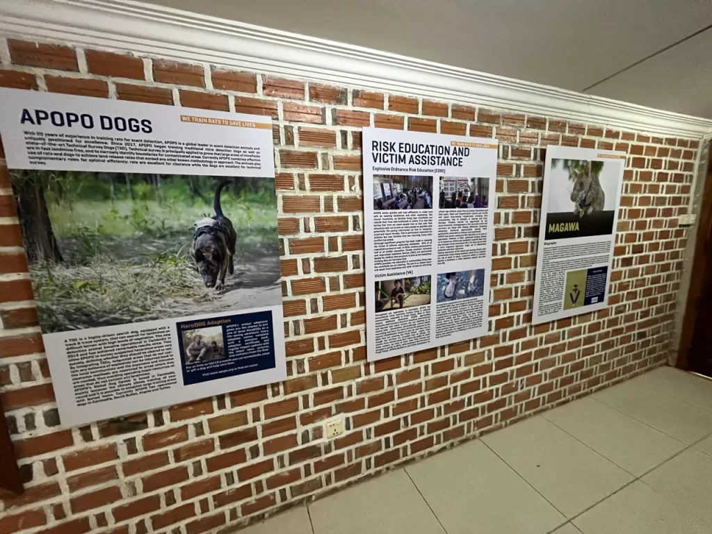 Apopo Siem Reap information boards 