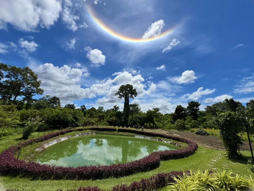 Loveheart Pond at Angkor Botanical Gardens near Pub Street Siem Reap