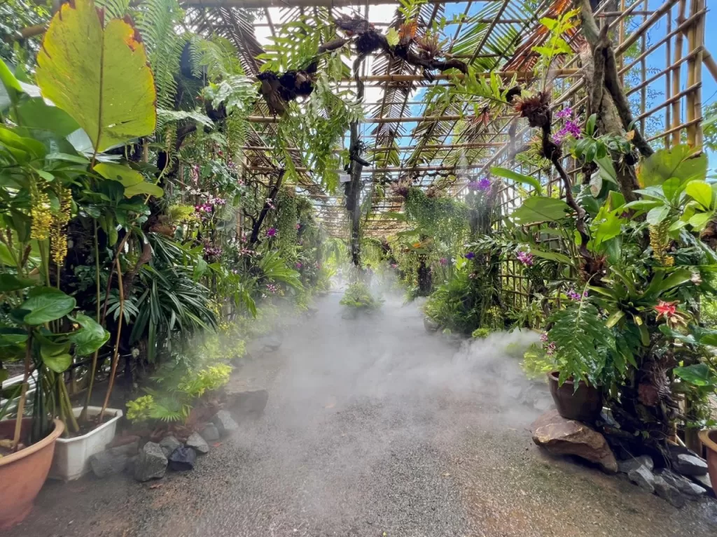 Misted plants at Angkor Botanical Gardens near Angkor Wat temple