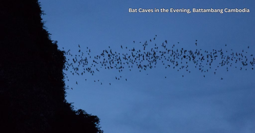 Bat Cave Battambang Cambodia