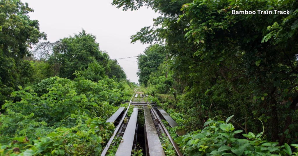 Bamboo Train Tracks