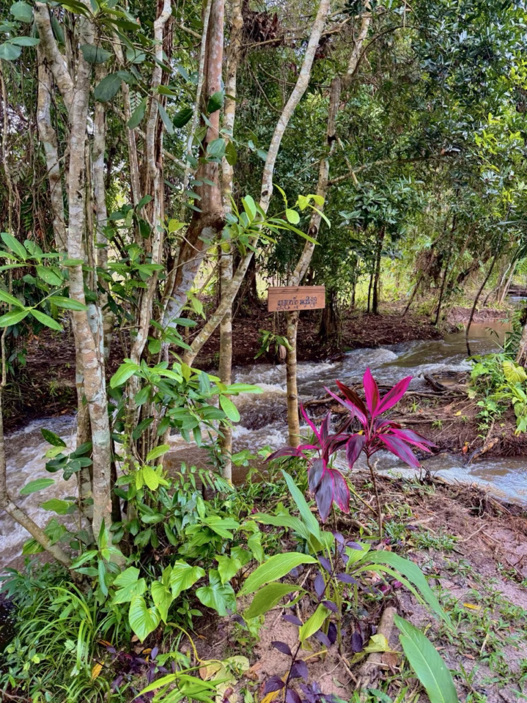 The River through the Kulen Mountain Campsites Siem Reap Province